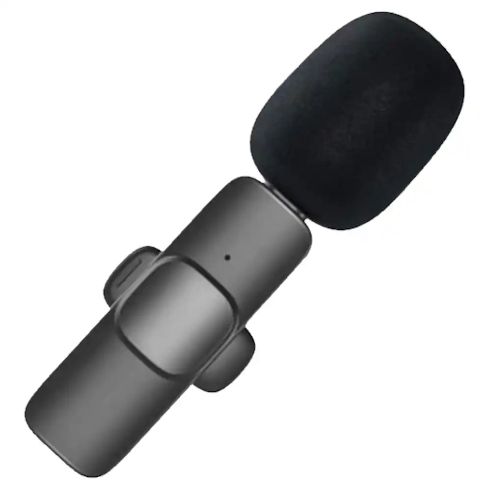 מיקרופון אלחוטי דש Type-C | colors-il.com